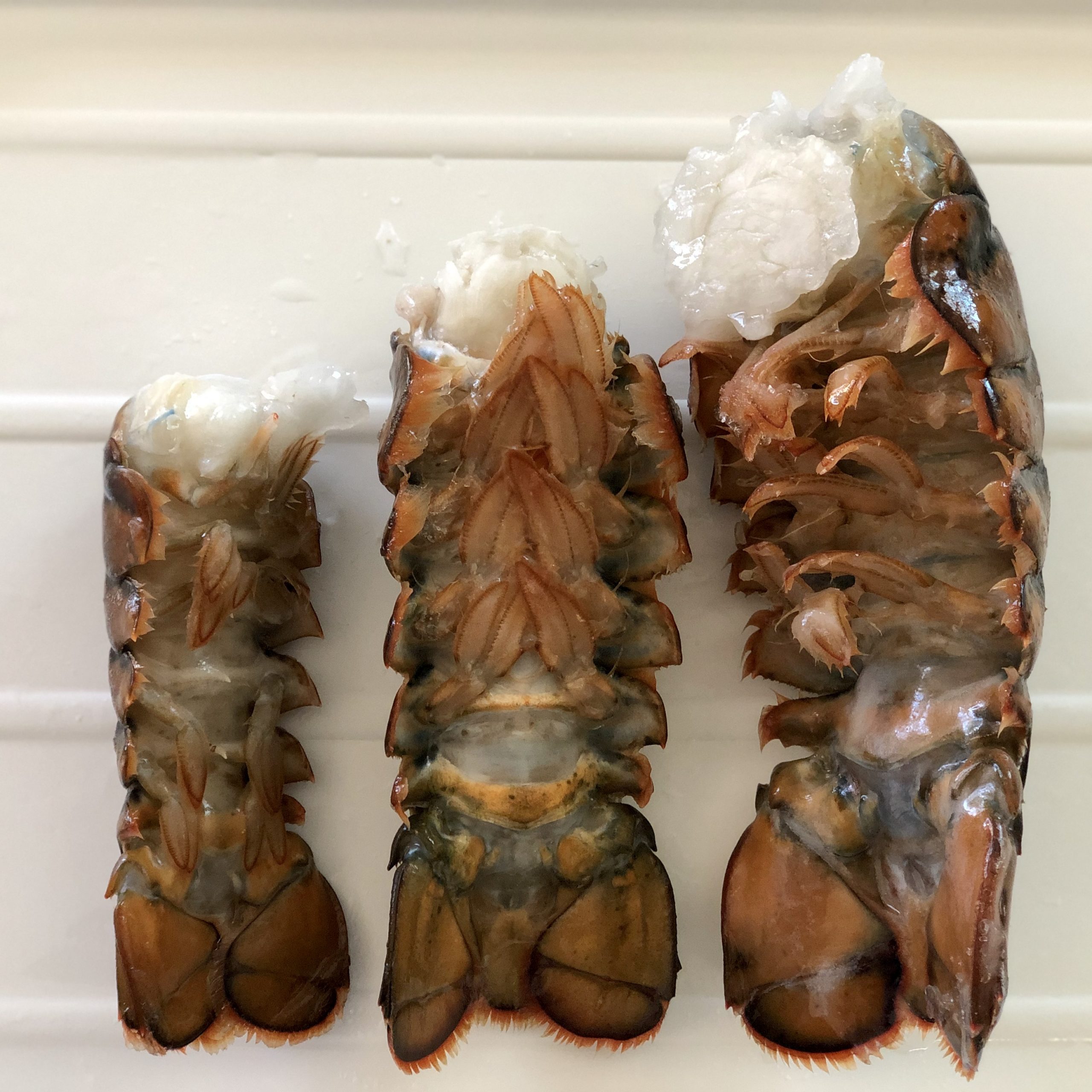 Frozen Lobster Tails Royal Hawaiian Seafood