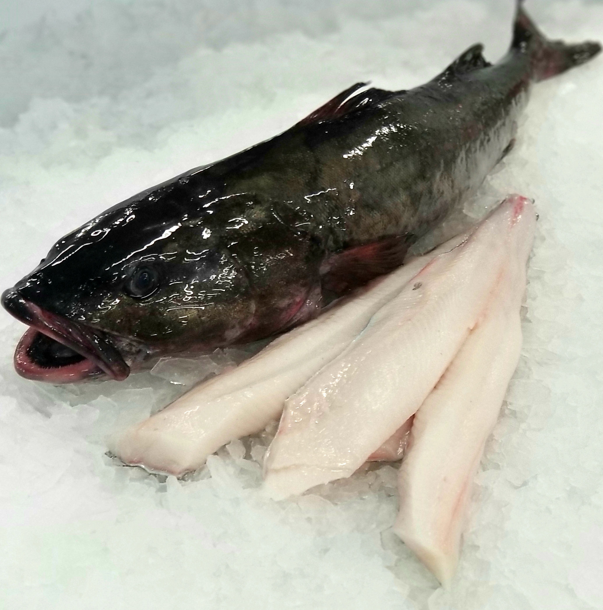 Sản phẩm từ cá hồi, hải sản tươi sống, hải sản đông lạnh đến gia vị nhập khẩu