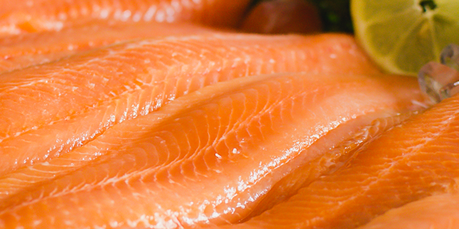 Arctic Char