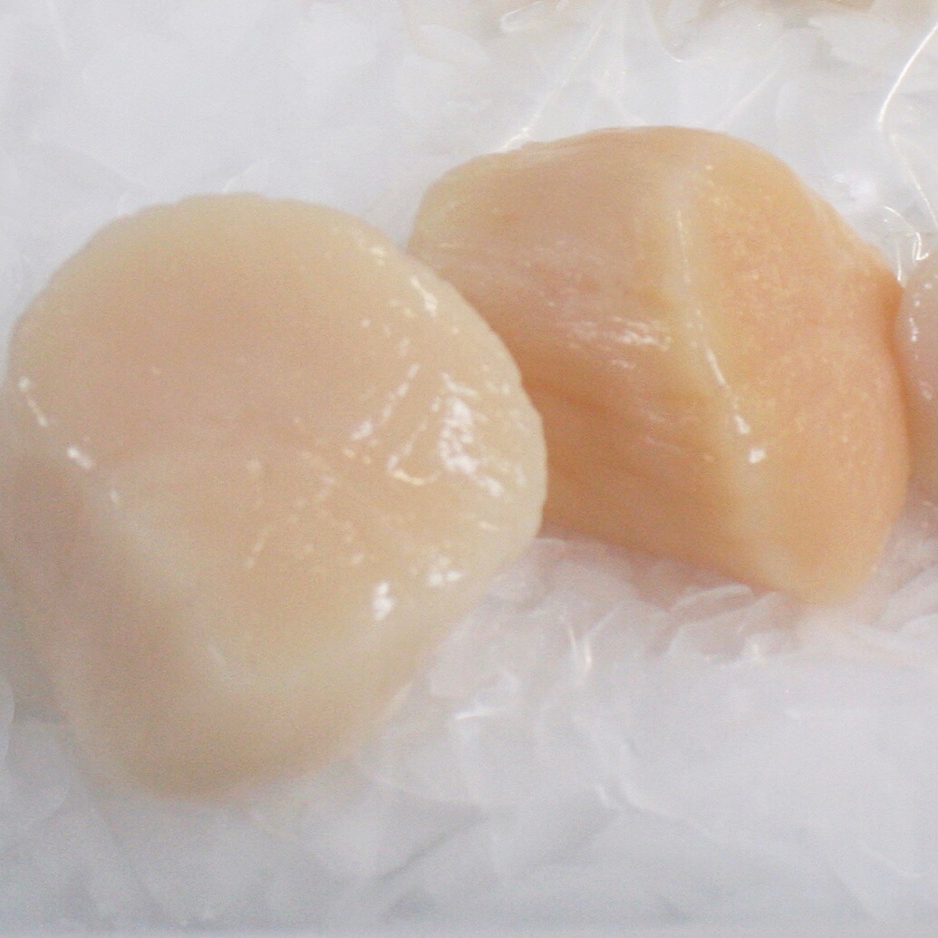 Hokkaido scallop