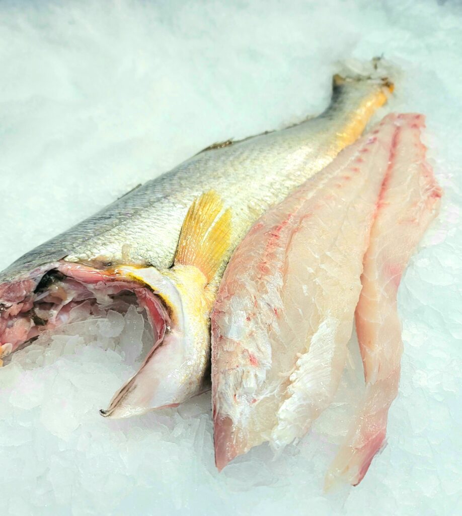 Bass, Corvina - Royal Hawaiian Seafood